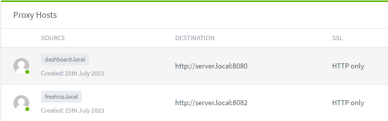 The Nginx Proxy Manager web UI showing some services mapped from server.local to http://server.local:port